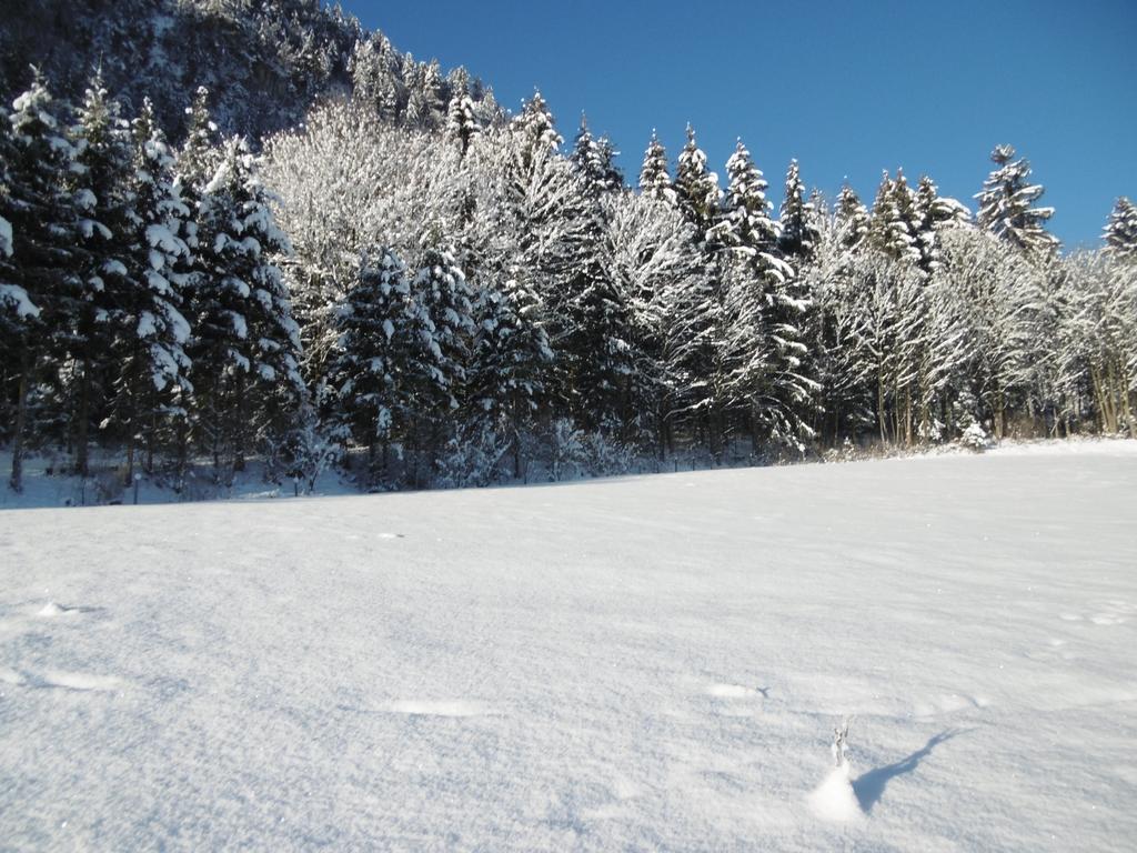 Ferienwohnung Zillertal Bacher 舒里特斯 外观 照片